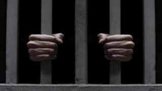 महाराष्ट्र : मारपीट के मामले में अदालत ने शिवसेना विधायक महेंद्र दलवी को दो साल की सजा सुनाई